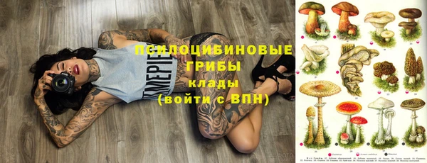 спиды Вязьма