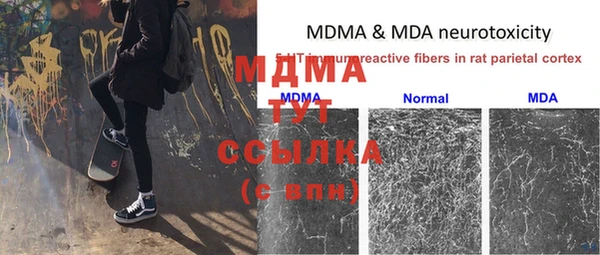 спиды Вязьма